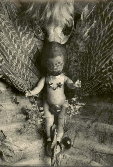 Timothy Rice - Screw Baby (Still Life) Timothy Rice - Screw Baby (Still Life)