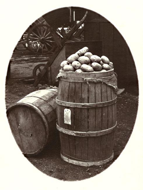 George A. Eisenman - Barrels, Potatoes and Wheelbarrows George A. Eisenman - Barrels, Potatoes and Wheelbarrows
