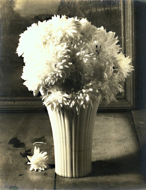 George A. Eisenman - Chrysanthemums George A. Eisenman - Chrysanthemums