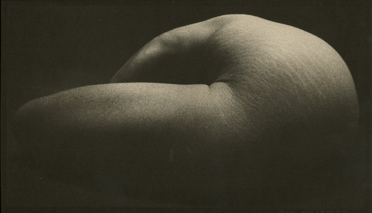 Max Waldman - Experimental Nude Max Waldman - Experimental Nude