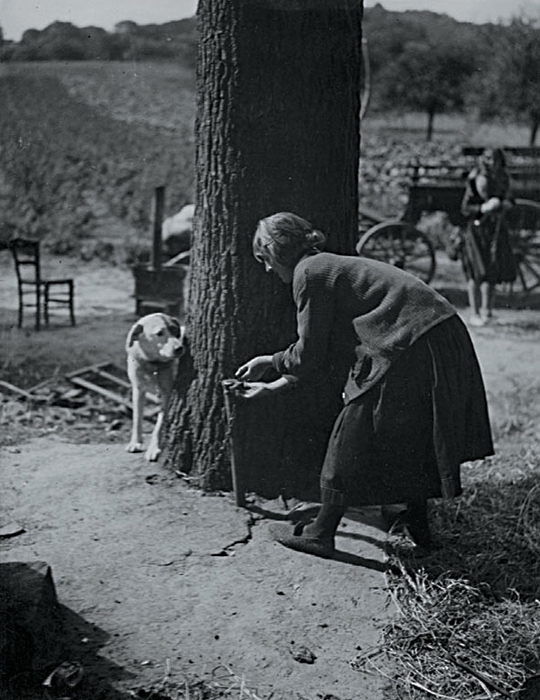 Andre Kertesz - "Do They Play Hide and Seek?" (Girl Ties up Dog to Play) Andre Kertesz - "Do They Play Hide and Seek?" (Girl Ties up Dog to Play)