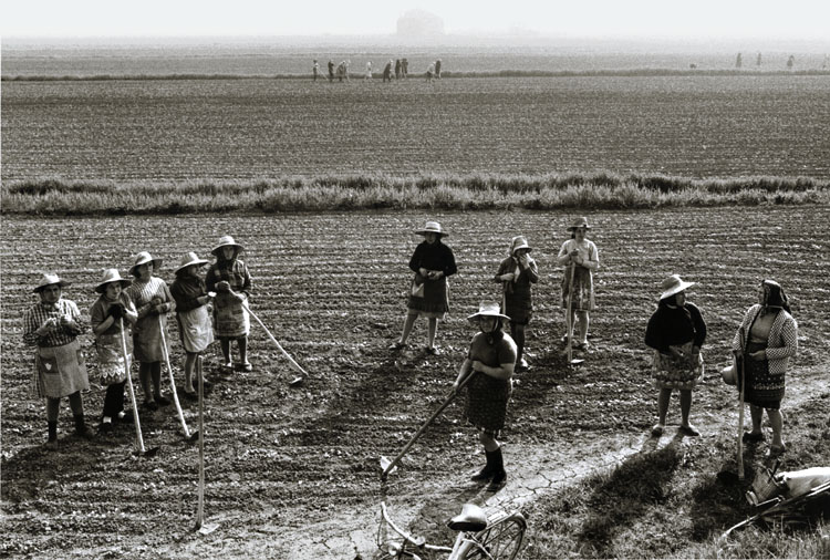 Gianni Berengo Gardin - Farm Women Hoeing the Earth, Italy