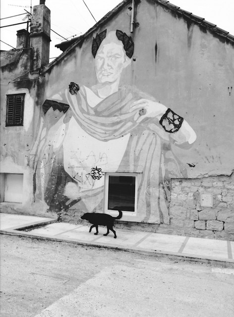 Stanko Abadžic - Mural of Caesar and Dog in Split, Croatia Stanko Abadžic - Mural of Caesar and Dog in Split, Croatia