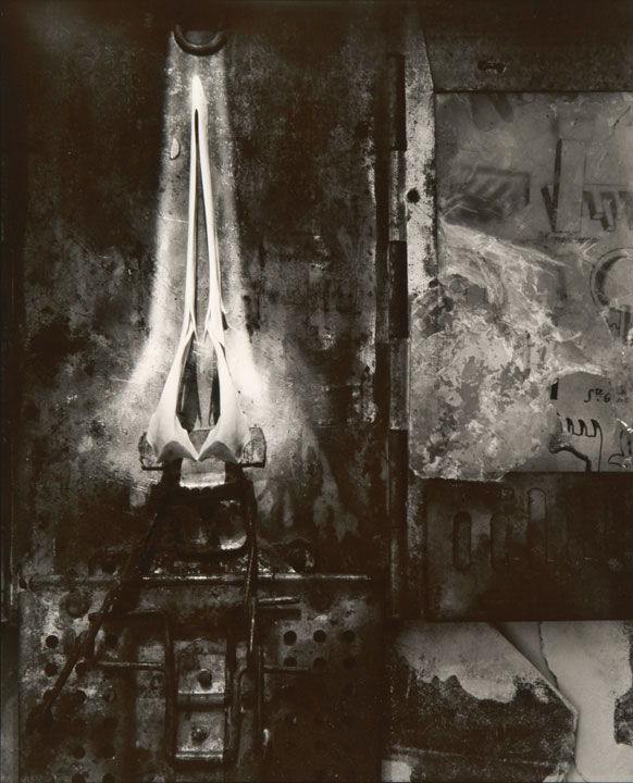 Olivia Parker - Last Gate (from "Lost Objects portfolio) Olivia Parker - Last Gate (from "Lost Objects portfolio)