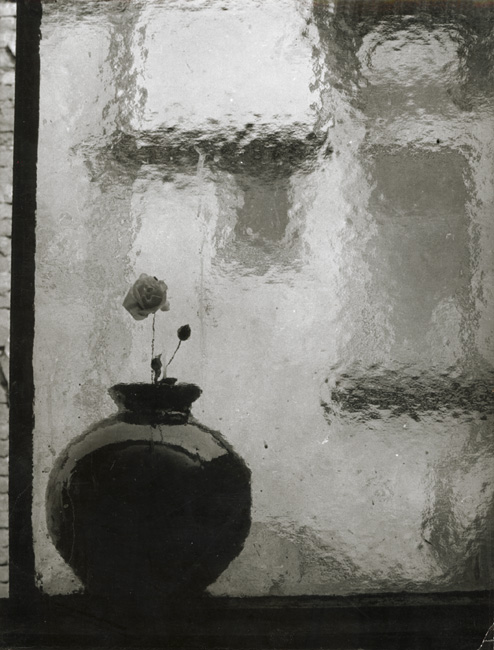 Antonin Gribovsky - Vase in the Window Antonin Gribovsky - Vase in the Window
