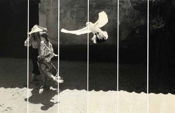 David Hamilton - Girls with White Dove