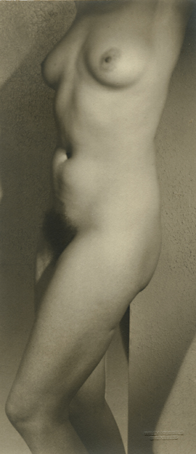 Willy Kessels - Standing Female Nude Willy Kessels - Standing Female Nude