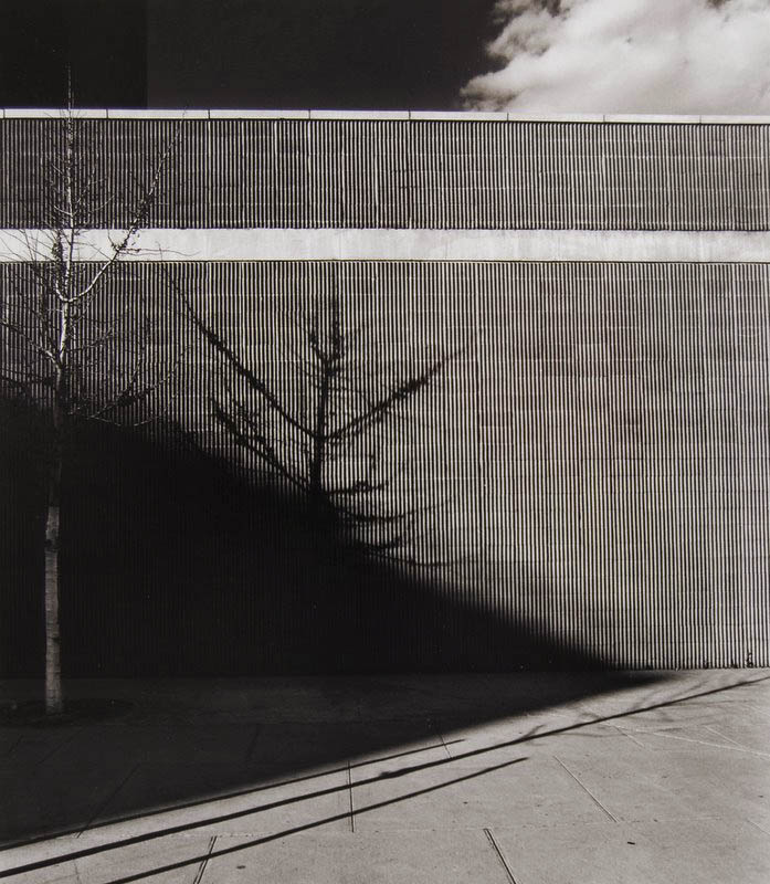 Tom Baril - Ribbed Wall (shadows), NYC Tom Baril - Ribbed Wall (shadows), NYC