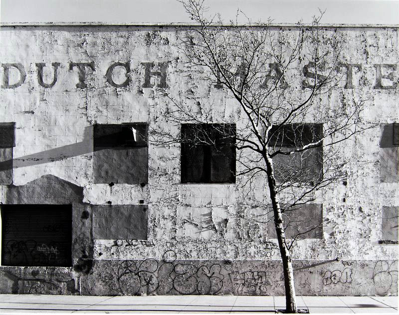 Tom Baril - Dutch Masters, NY Tom Baril - Dutch Masters, NY