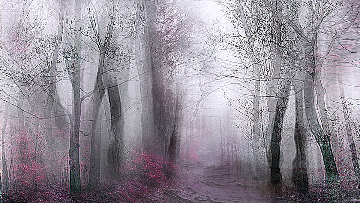 Pale Forest (from Series "Constructed Landscapes") Pale Forest (from Series "Constructed Landscapes")