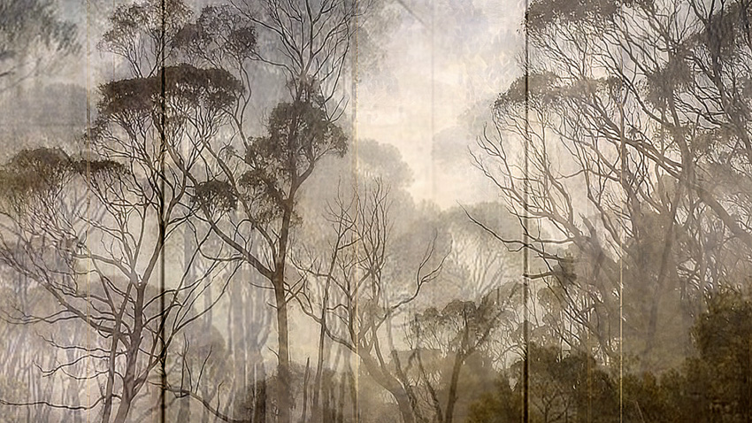 Lisa Holden - Angelica (from Series "Constructed Landscapes") Lisa Holden - Angelica (from Series "Constructed Landscapes")