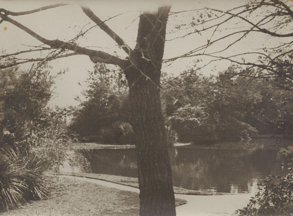 Man Ray - Pond at Château de Clavary Man Ray - Pond at Château de Clavary