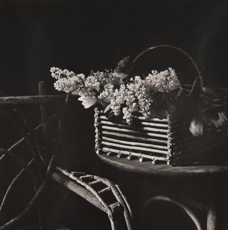 Jeanette Montgomery Barron - Connecticut Still Life