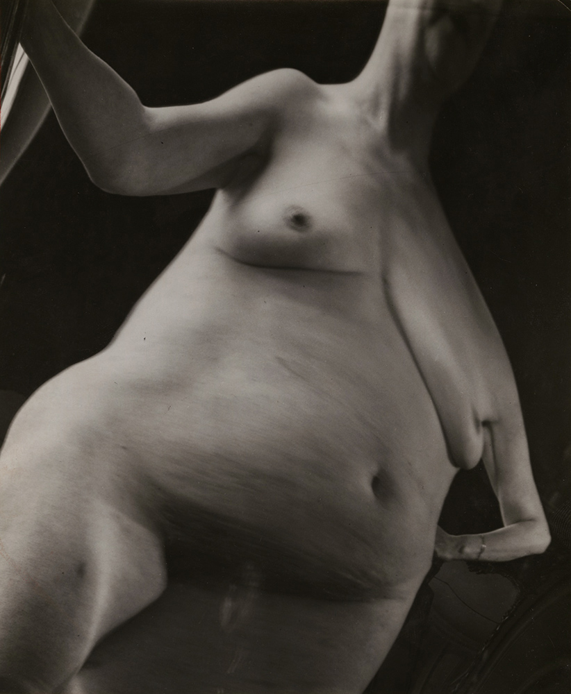 Andre Kertesz - Distortion #15 Andre Kertesz - Distortion #15