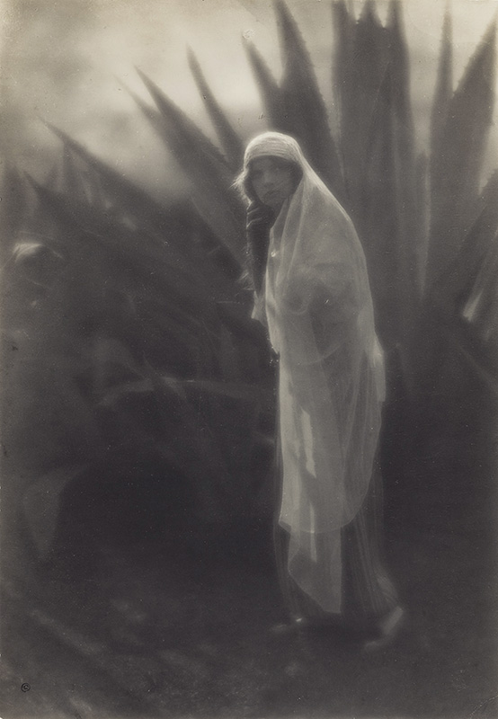 Edward Weston - Maud Allan with Century Plant Edward Weston - Maud Allan with Century Plant