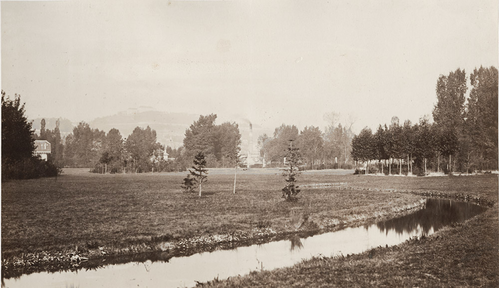 Charles Marville (dit), Charles-François Bossu - Étude des fleuves et des arbres, Bois de Boulogne Charles Marville (dit), Charles-François Bossu - Étude des fleuves et des arbres, Bois de Boulogne