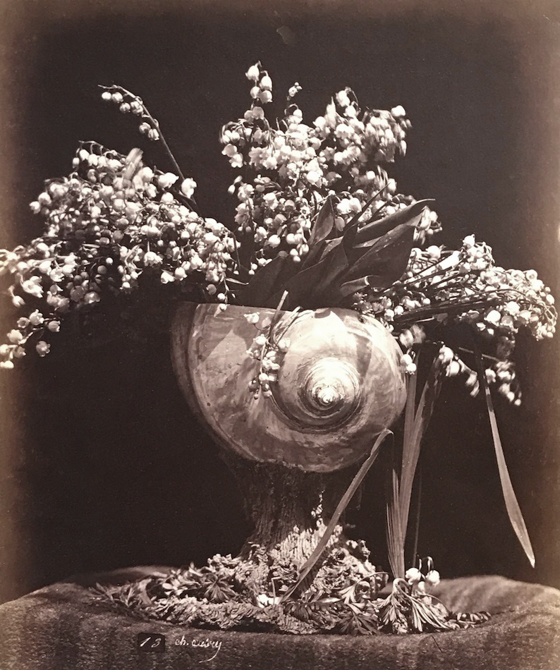 Charles Hippolyte Aubry - Lilies of the Valley in a Nautilus Shell (Muguet dans une Conque) Charles Hippolyte Aubry - Lilies of the Valley in a Nautilus Shell (Muguet dans une Conque)