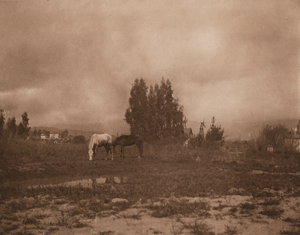 William B. Post - A Pasadena Landscape