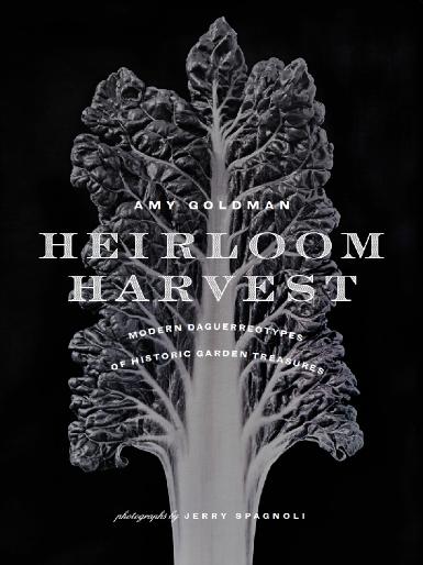 Jerry Spagnoli - Heirloom Harvest: Modern Daguerreotypes of Historic Garden Treasures Jerry Spagnoli - Heirloom Harvest: Modern Daguerreotypes of Historic Garden Treasures