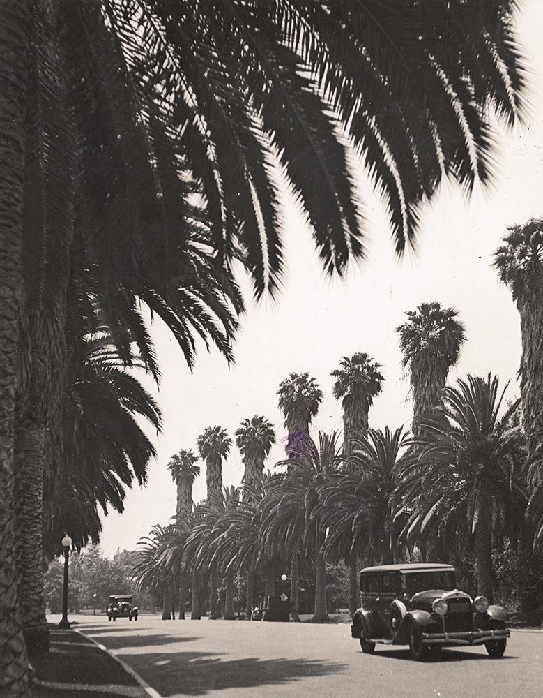 Alfred Eisenstaedt - Beverly Hills, California Alfred Eisenstaedt - Beverly Hills, California