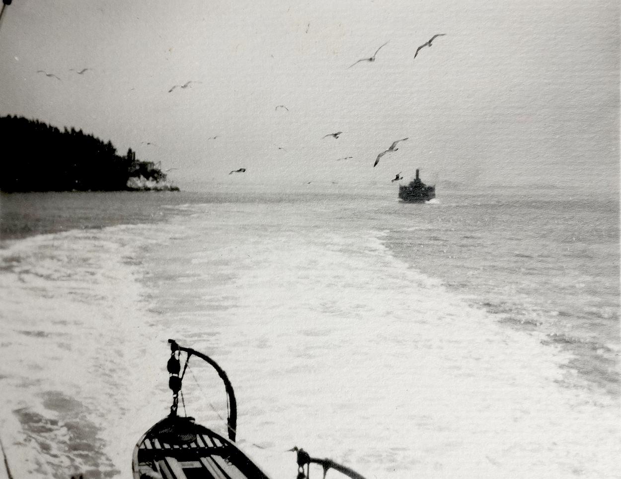 William Edward Dassonville - Boats off San Francisco Coast William Edward Dassonville - Boats off San Francisco Coast