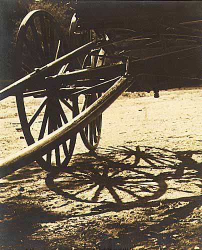 Marjorie McCoy - The Democrat Wagon