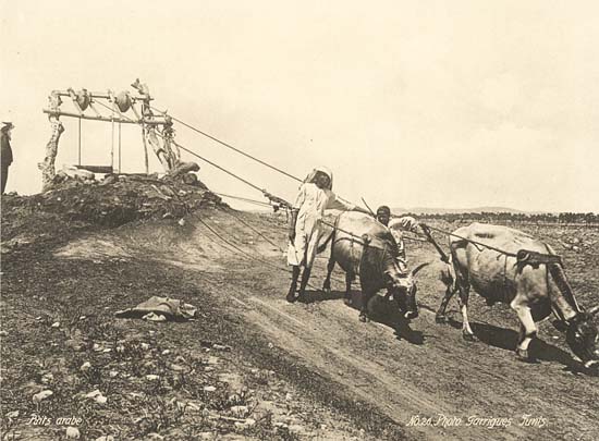 J. Andre Garrigues (Tunis) - An Arab Well