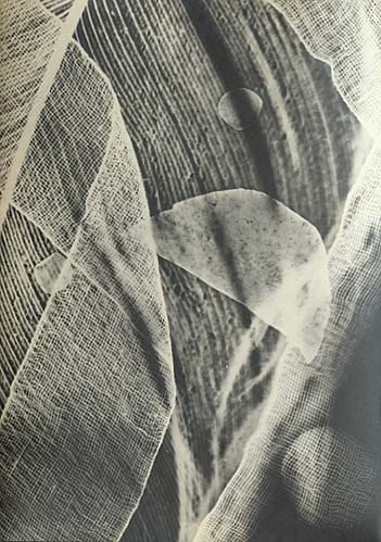 Tihamer Gyarmathy - Untitled (Luminogramme)