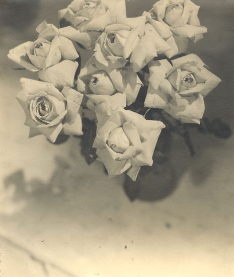 Fernand Dengremont - Roses