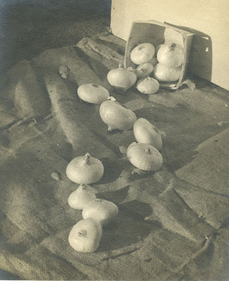E. Lucerne Mailloux - Still Life of Onions and Basket E. Lucerne Mailloux - Still Life of Onions and Basket