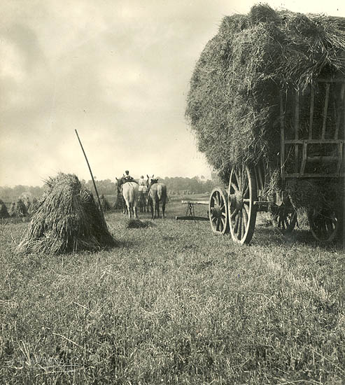 Jean-Marie Auradon - Harvest Jean-Marie Auradon - Harvest