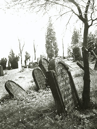 Antonin Gribovsky - Jewish Cemetery in Lostice, Czech Republic Antonin Gribovsky - Jewish Cemetery in Lostice, Czech Republic
