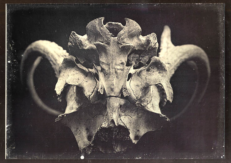 Irving Pobboravsky - Symmetric Mask