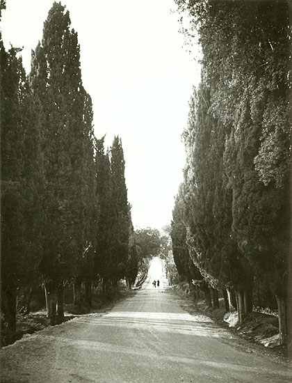 Marcel Bovis - Near Montpellier, France Marcel Bovis - Near Montpellier, France