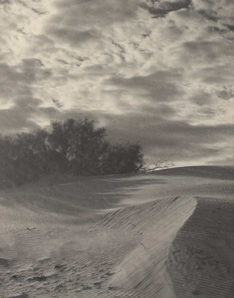 Floyd B. Evans - Dunes