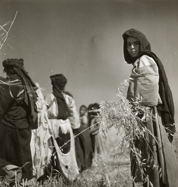 Denise Bellon - Berbers Harvesting, Morocco Denise Bellon - Berbers Harvesting, Morocco