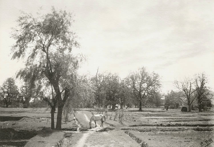 C. H. Harrison - Lolab, Kashmir