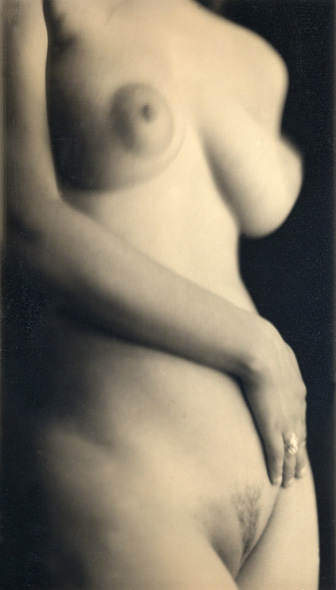 Charlie Schreiner - Torso (Female Nude) Charlie Schreiner - Torso (Female Nude)