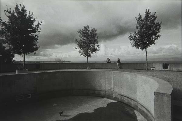 T. W. Sanders - Premonition