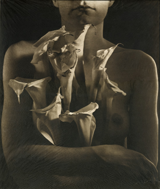 DavidJohn Lotto - Embracing the Wounds (Female Nude with Lilies)